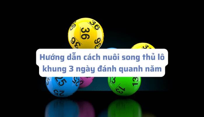 Hướng dẫn cách nuôi song thủ lô 3 ngày miễn phí hiệu quả